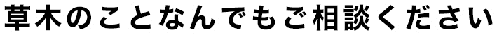 草木のことなんでもご相談ください