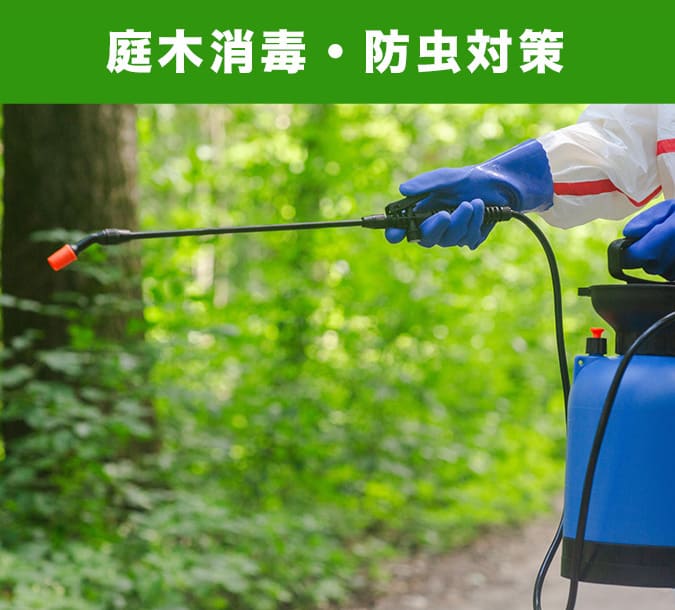庭木消毒・防虫対策