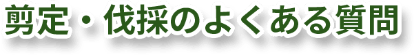 剪定・伐採のよくある質問