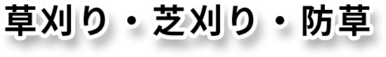 庭木・立木の伐採・伐根