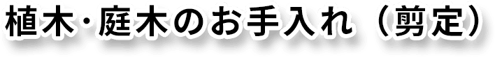 植木･庭木のお手入れ（剪定）