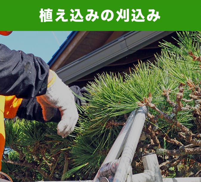 植え込みの刈込み