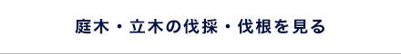 庭木・立木の伐採・伐根を見る